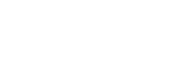 LINX_logo_hvid_uden_kant
